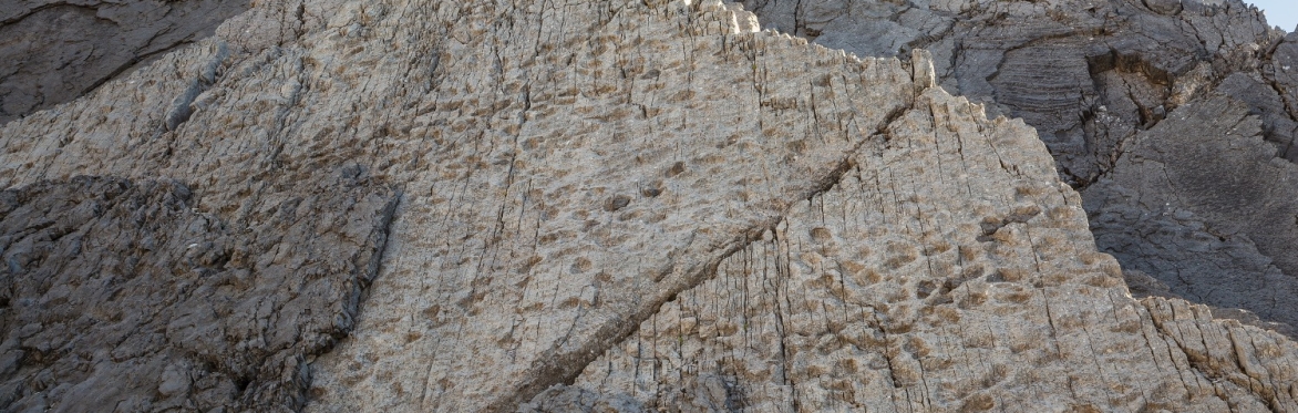 Escursione guidata: Trekking sulle tracce dei dinosauri
