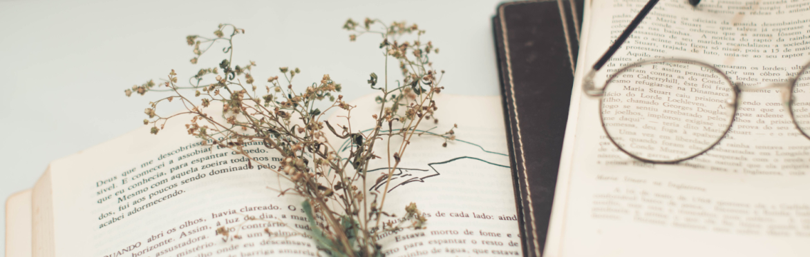 Literary Lunch with Elena Mannion