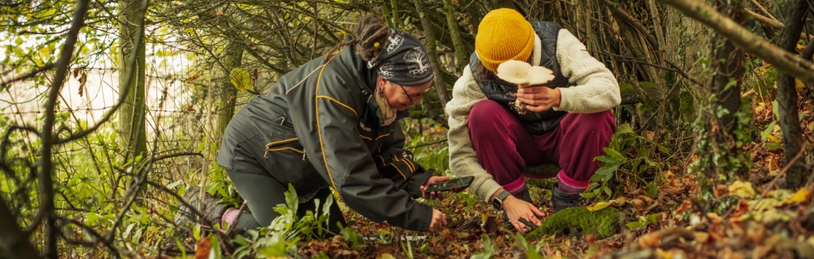 Intro to Nature Restoration Taster Day