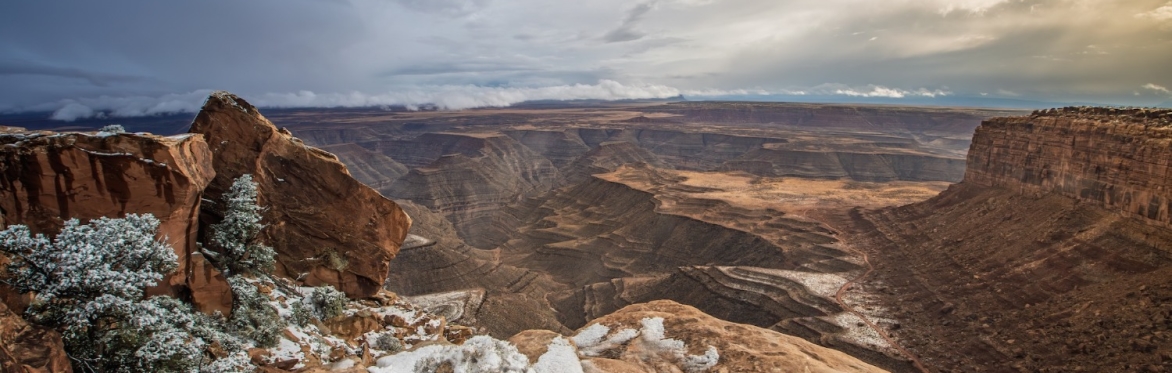 Cat Gonnering Muley Point photo