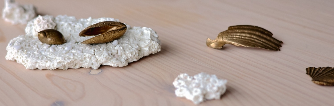 Installation view, correspondences, July 2026, Haven/Part 1 featuring Jessye’s untitled bronze shells and Yoko’s ceramic sculptures from her installation series 吹き溜りFukidamari - a bank of fallen leave