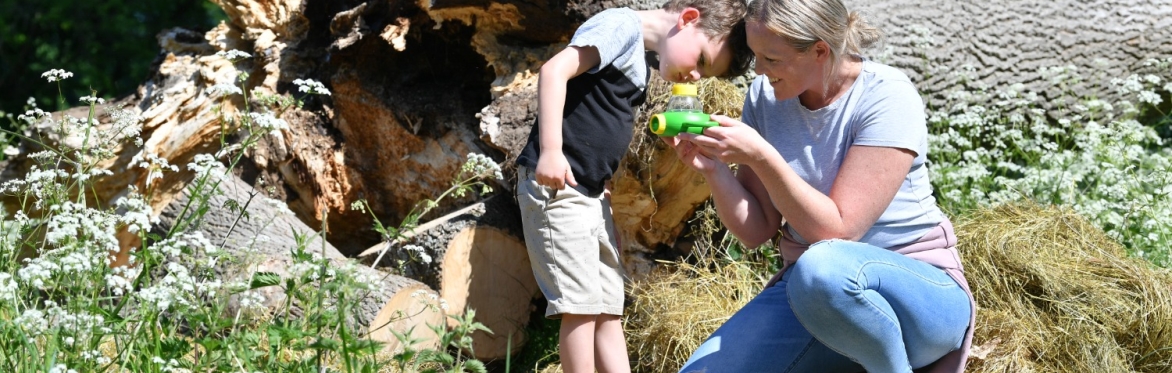 A mother and child looking at minibeasts