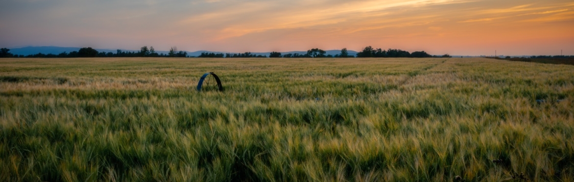 “Growing for America under the Big Sky” MABA/MGEA 2027 Annual Convention Sponsors and Vendors