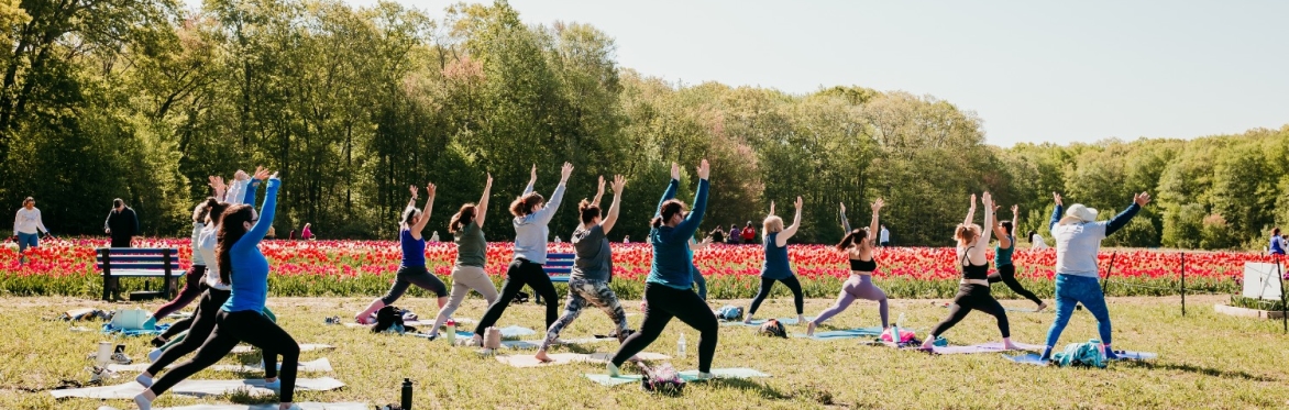 Yoga Multiple Locations