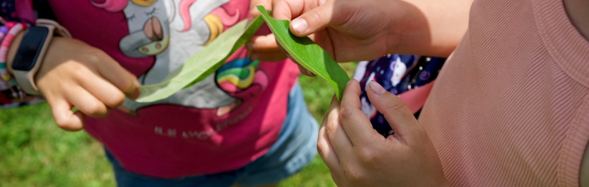 Atelier jardinage pour enfants