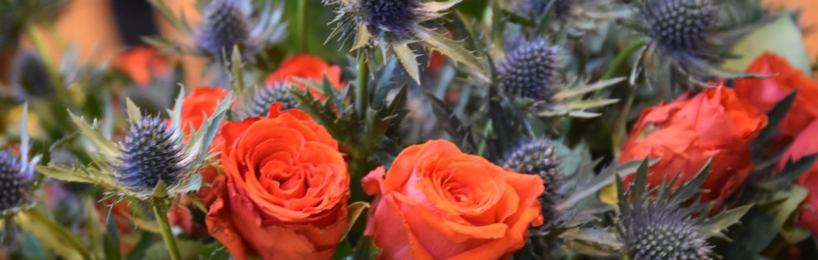 Sant Jordi 2024