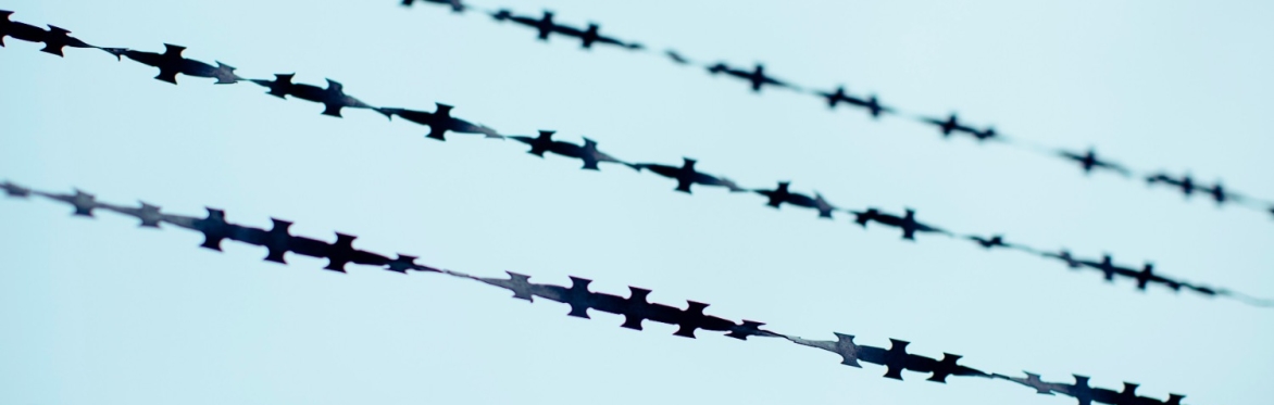 "On Cruelty and Politics": A Masterclass with Jana Bacevic