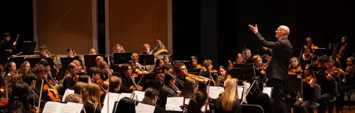 Symphony Series Concert with Philharmonic
