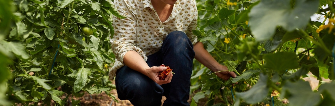 The Growing Academy 2026 - Laurelbank Farm's Organic Fruit and Vegetable Growing Course