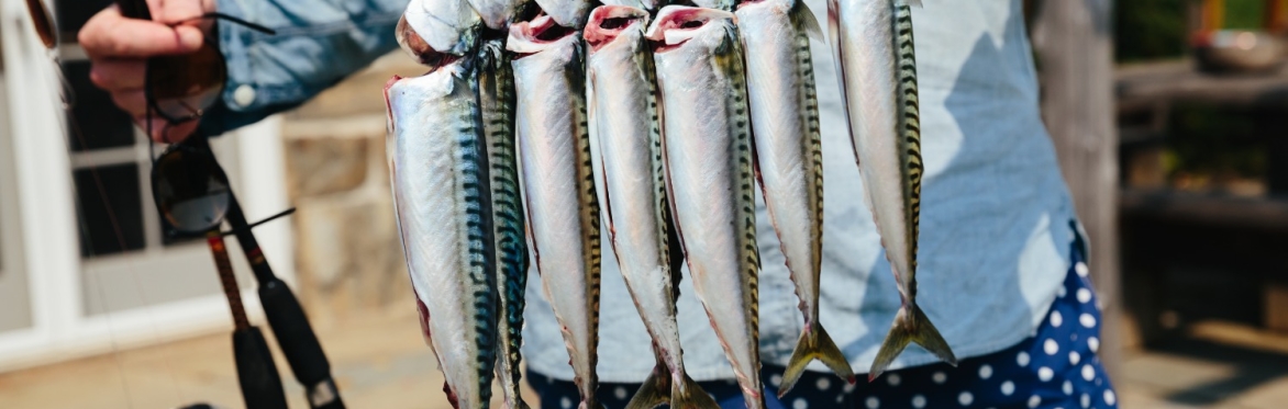Portuguese Cuisine
