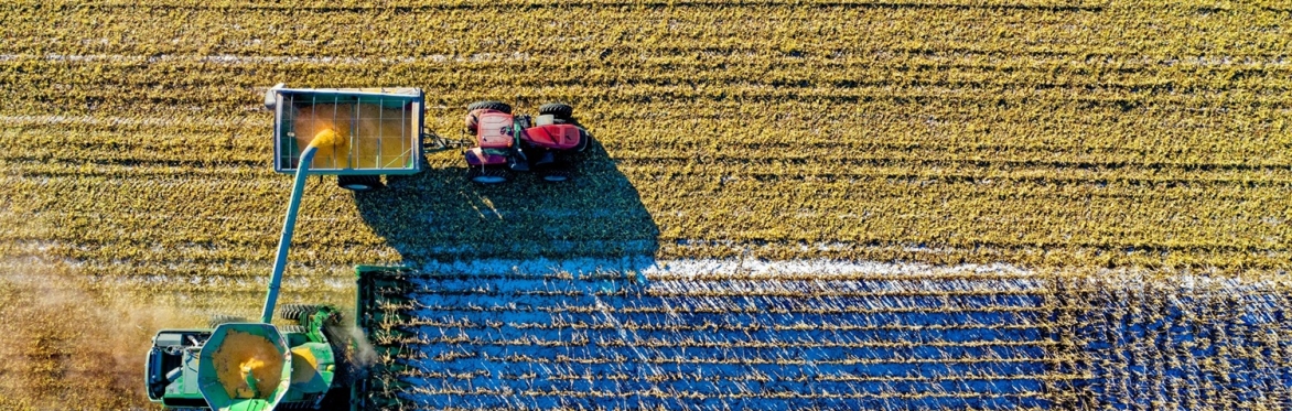 Is the Food System Fit for the Future?