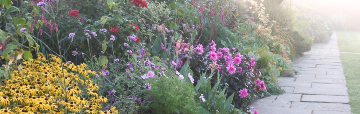 The Long Season Border- A Practical Guide to Succession.