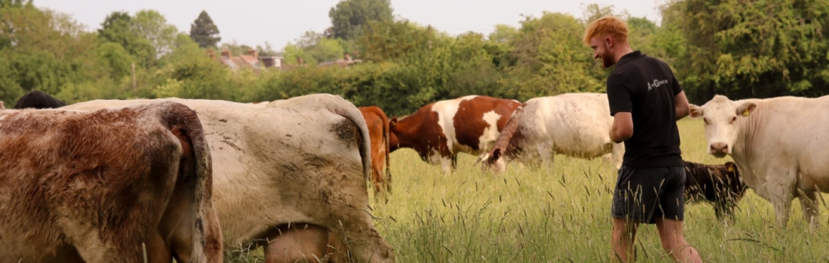 Transitioning Beyond Inputs in Agriculture