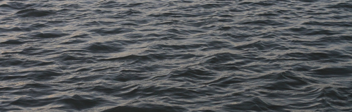 Writing the Tides: Seasonal Workshops by the Sea