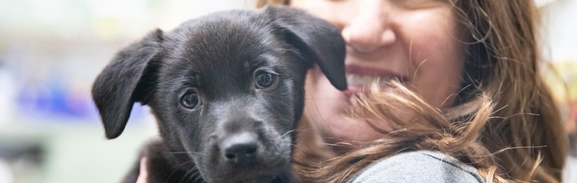 Puppy Preschool
