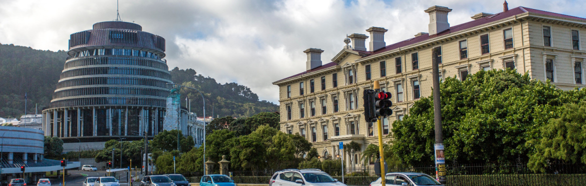 A Reality of Everything Pōneke: Election Special