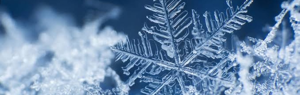 Snow crystals