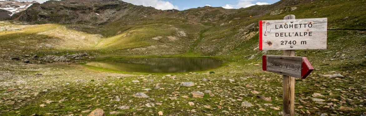 Trekking della Domenica - EDELWEISS TREKKING