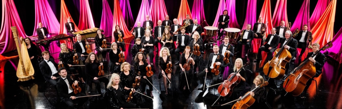 RTÉ Concert Orchestra & Patrick Rafter