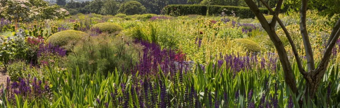 Part of the Terrace Garden at Mount St John