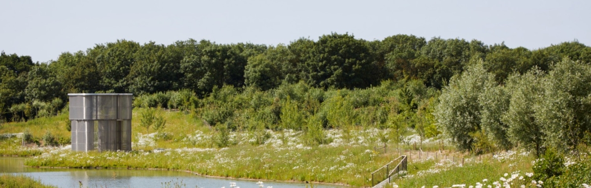 Eddington Ecology Walking Tours