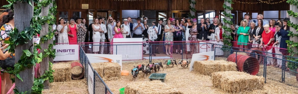 Melbourne Cup 2024