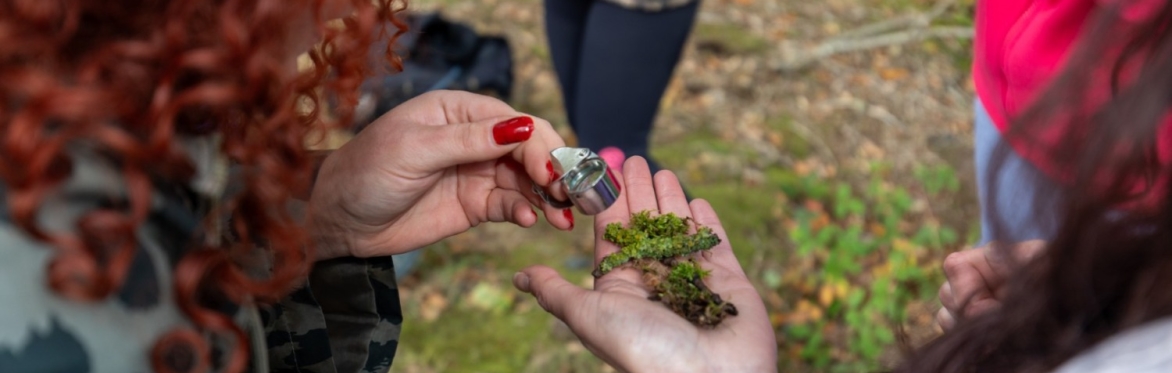 Forest Bathing Walk with Breathwork, Meditation and Cacao at Minsteracres