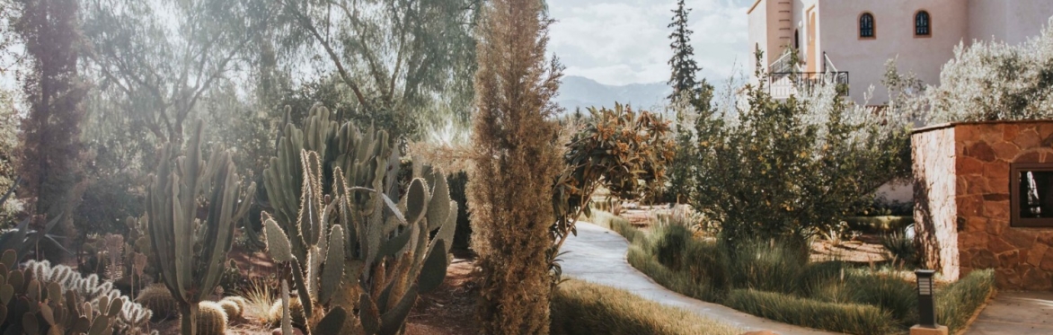 Morocco Yoga Retreat