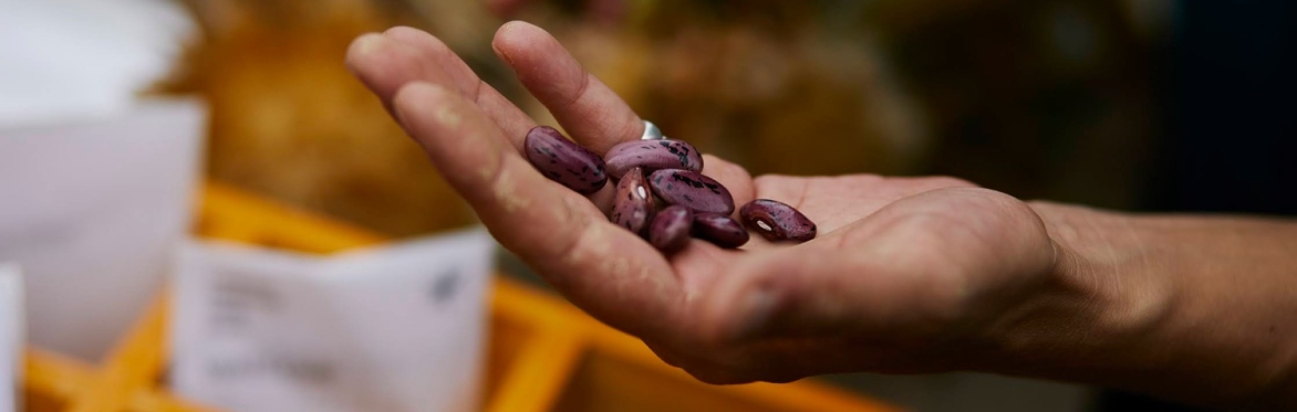 WALES Introduction to Seed Production