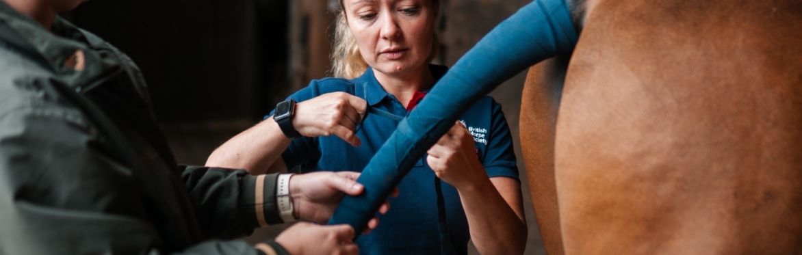 Stage 2 Care, Lunge & Ride