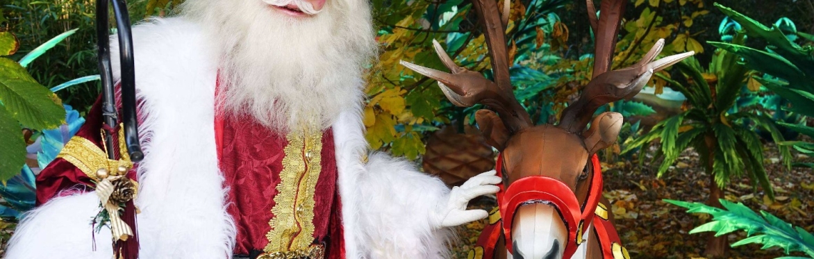 Festive Grotto at the Park