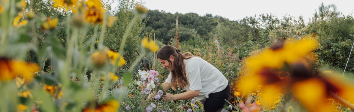 Get To Know Your Flowers Talk