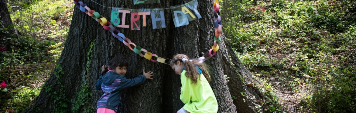A Tree Birthday Party - Sunday