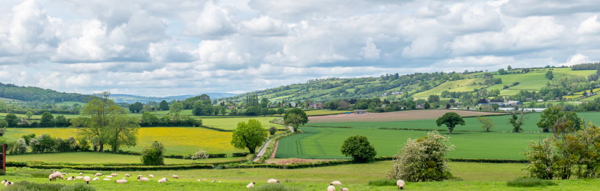 Golden Valley Pilgrim Way (4 days)