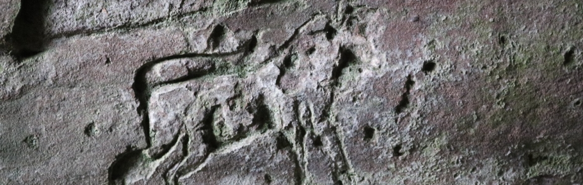 Wemyss Caves Pictish Carvings - Shorter Guided Tour from MacDuff Castle to Jonathan's Cave