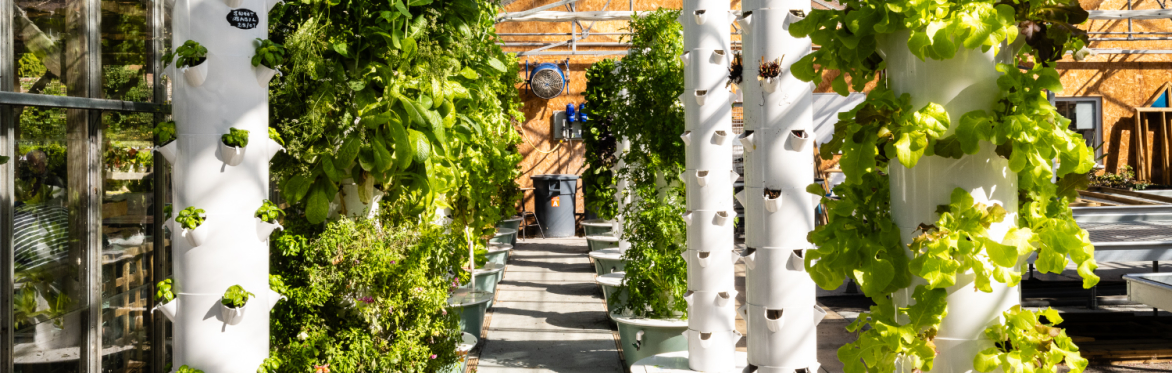 Behind the scenes Hydroponics tour and talk