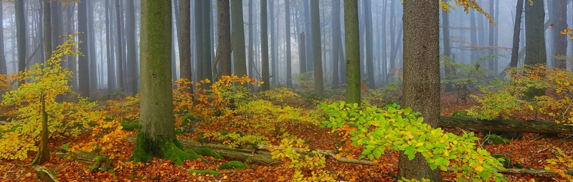 Unwind: Single Class Pass - October 15