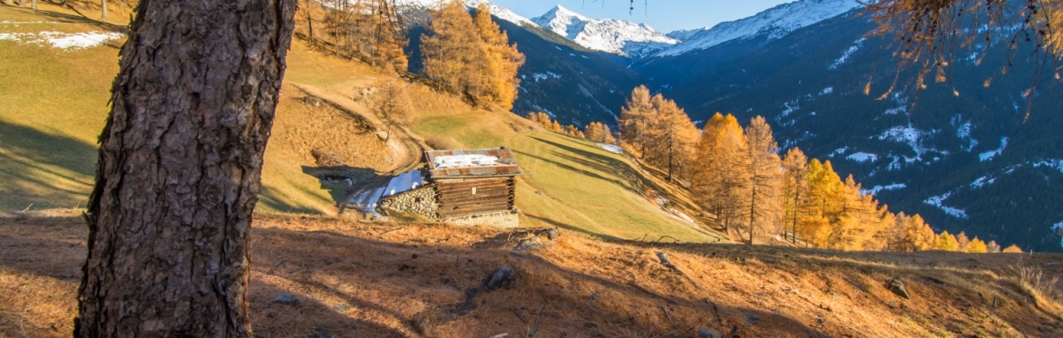 TREKKING D’AUTUNNO E FOLIAGE