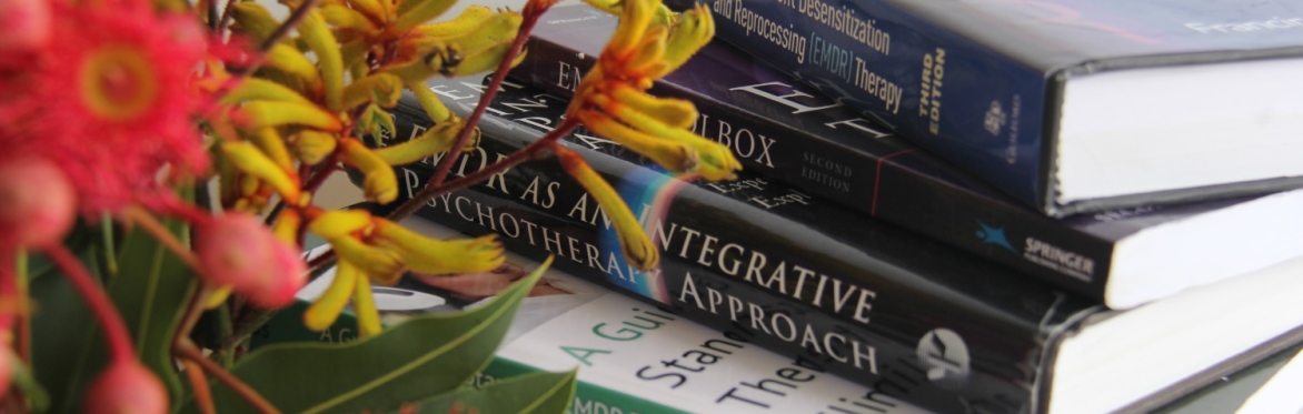 EMDR Refresher Workshop