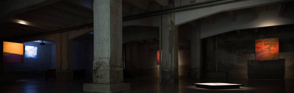 [Free Guided Visit] : Exhibitions&Projects