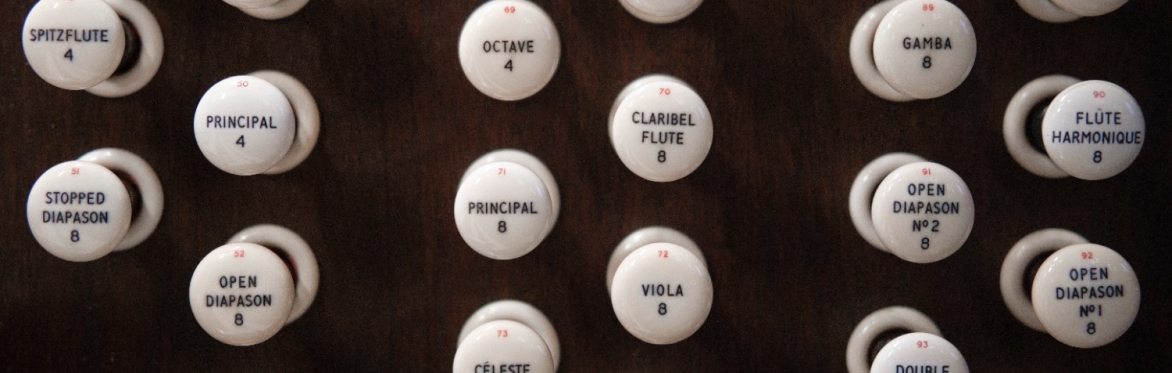 Talks + Tours / Inside the Organ