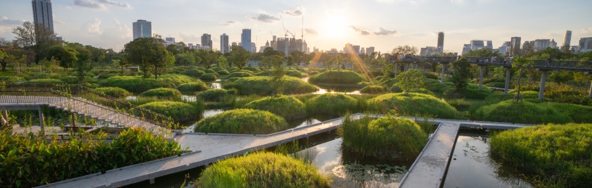 Overcoming Challenges in Climate Adaptation Finance