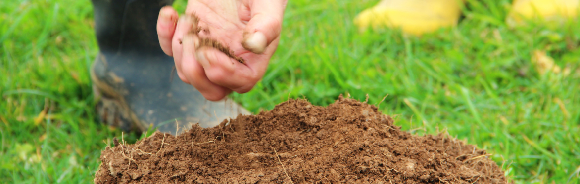 Healthy Soils Connected @ FarmED
