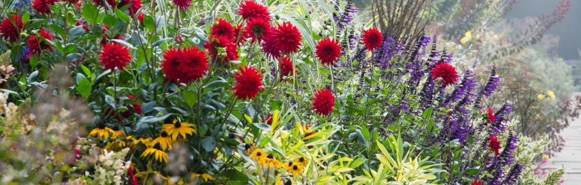 Behind the scenes at Great Dixter - October
