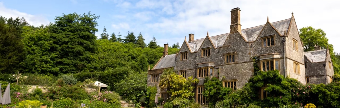 Tranquility Nervous System Reset Yoga Retreat