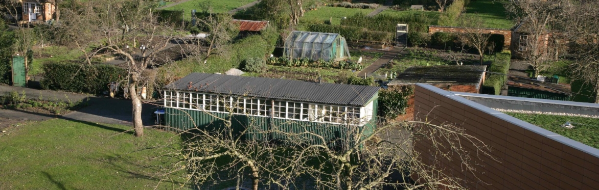 gardens
