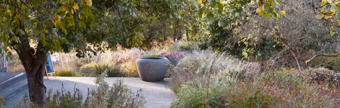 Two Gardens in Peak Summer: The Plant Library & The Barn Garden & (21 July 2026)