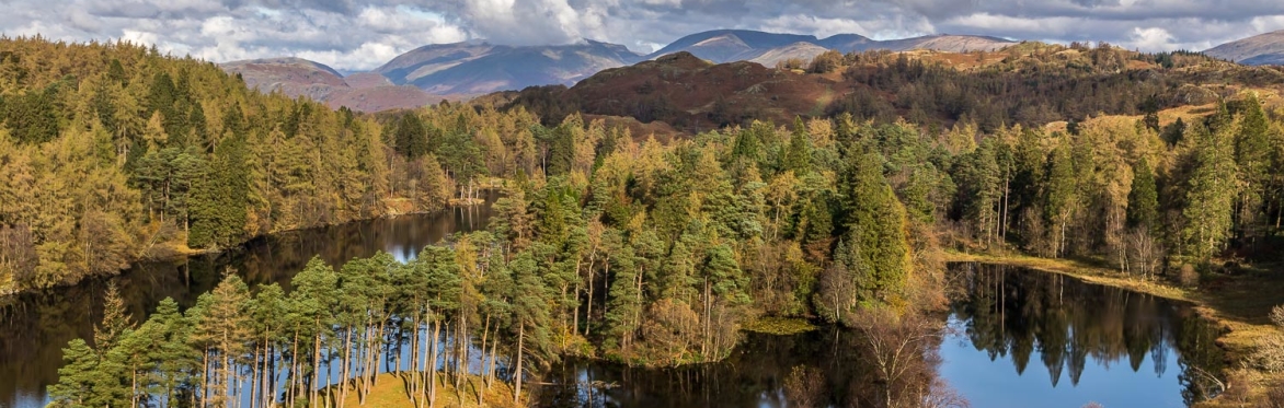 The Healing Bow Hikes - Tarn Hows & Black Crag