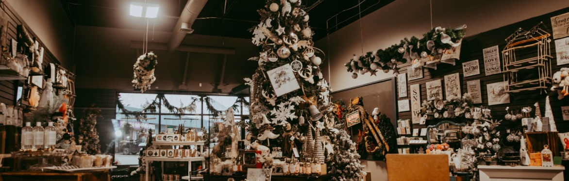 Red Deer Charity Santa Photos