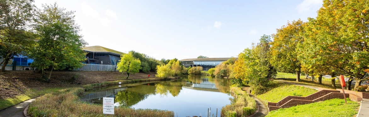 Bracknell BID Eco-Themed Meet Your Neighbour